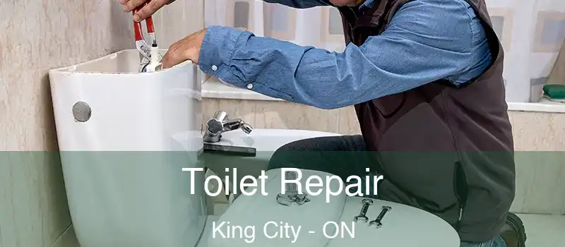  Toilet Repair King City - ON