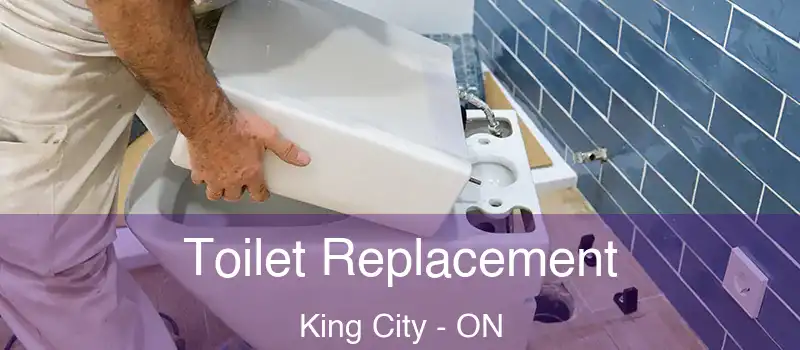  Toilet Replacement King City - ON
