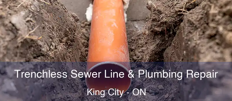  Trenchless Sewer Line & Plumbing Repair King City - ON
