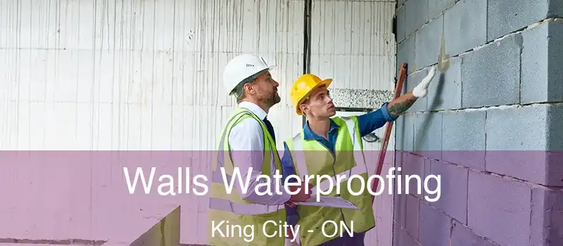  Walls Waterproofing King City - ON