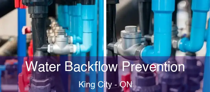  Water Backflow Prevention King City - ON