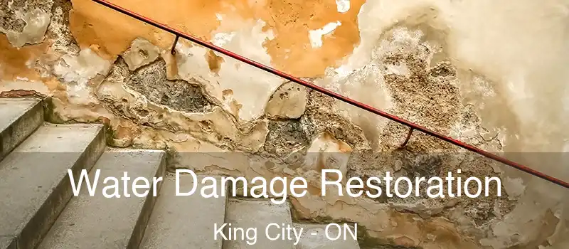  Water Damage Restoration King City - ON