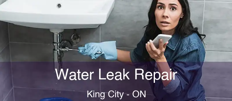  Water Leak Repair King City - ON