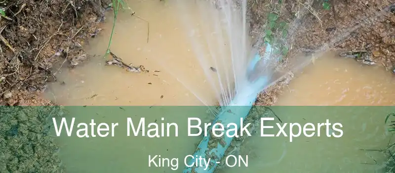  Water Main Break Experts King City - ON