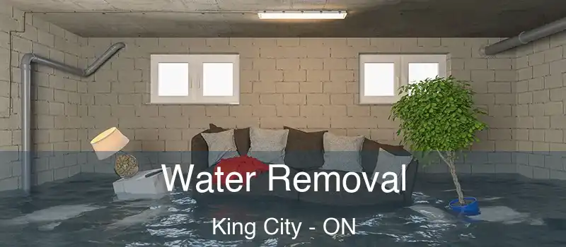  Water Removal King City - ON