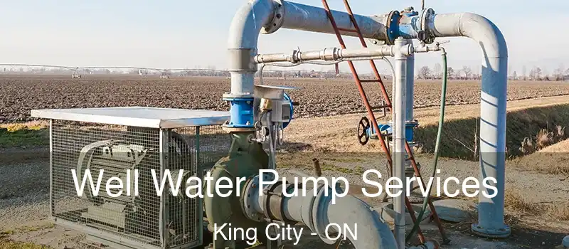  Well Water Pump Services King City - ON